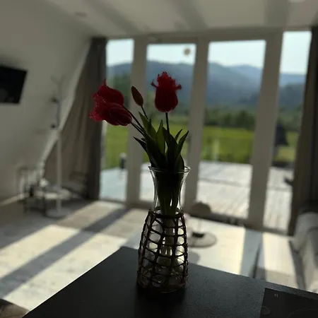 Chalet Mountains Hut Mykulytschyn